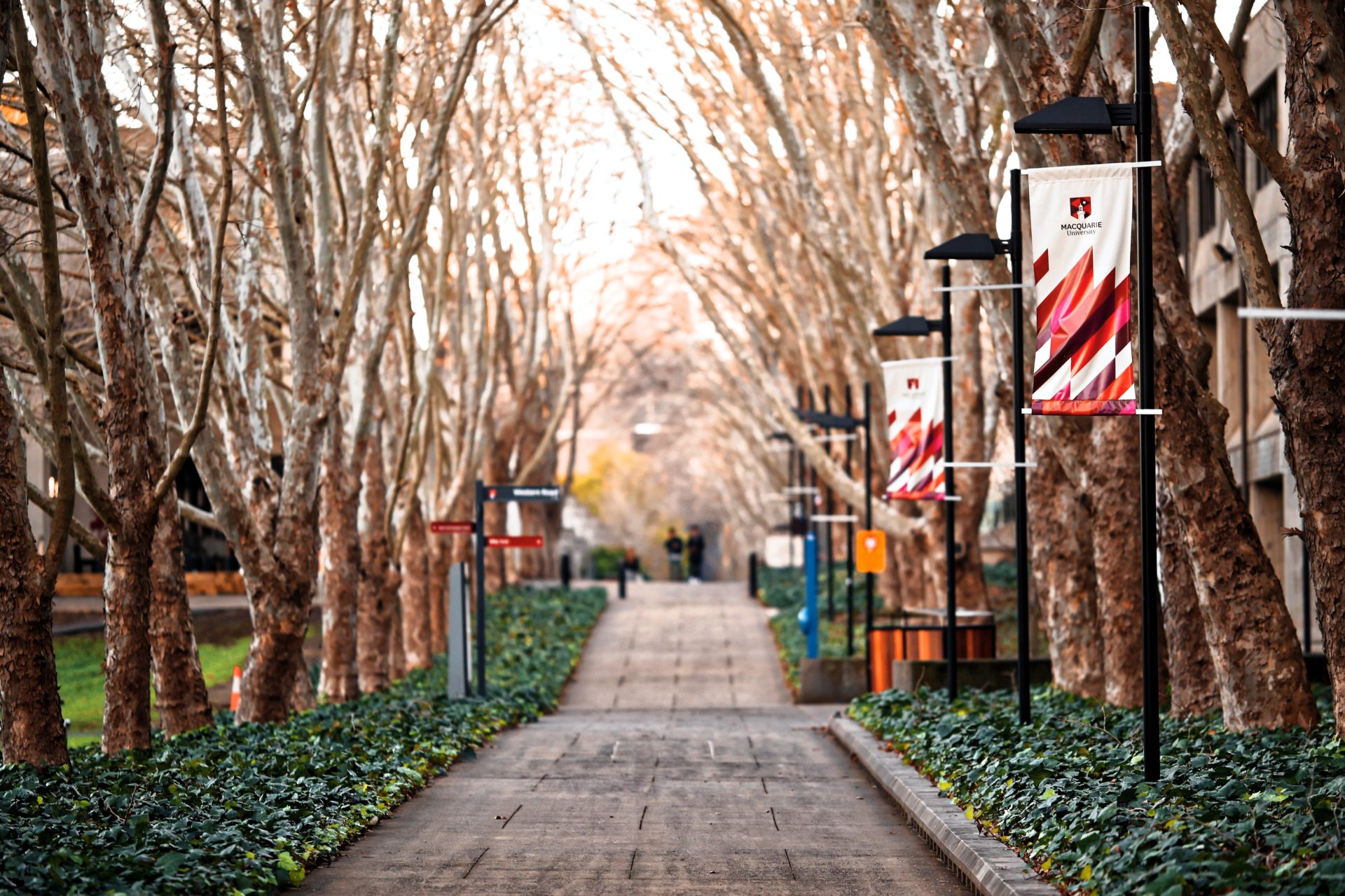 College Awareness Activities | Campus Walk | EVERFI